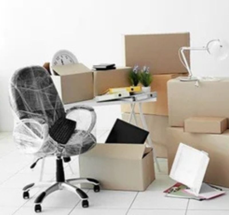 Import And Export Clearance Services